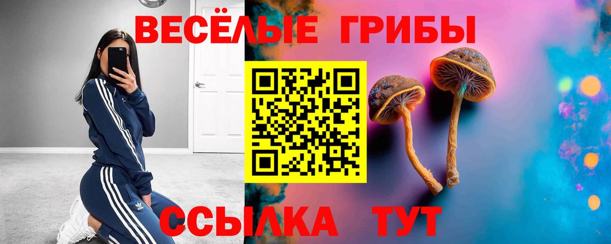 Псилоцибиновые грибы Psilocybe  Галлюциногенные грибы прущие грибы  Вход с VPN  Дивногорск 