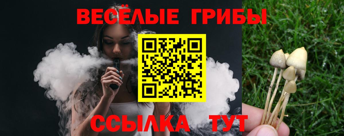Псилоцибиновые грибы прущие грибы Дивногорск
